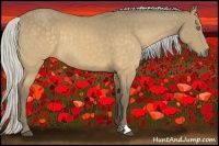 Horse Color:Silver Buckskin 