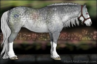 Horse Color:Silver Black Chinchilla 