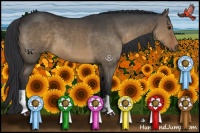 Horse Color:Brown Dun 