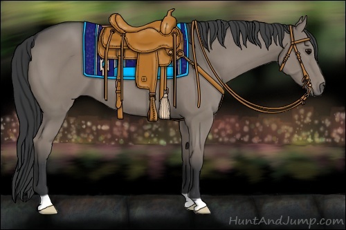 Horse Color:Grullo 