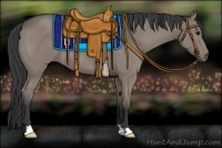 Horse Color:Grullo