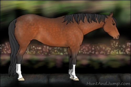 Horse Color:Brown 
