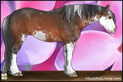 Horse Color:Brown Sabino 