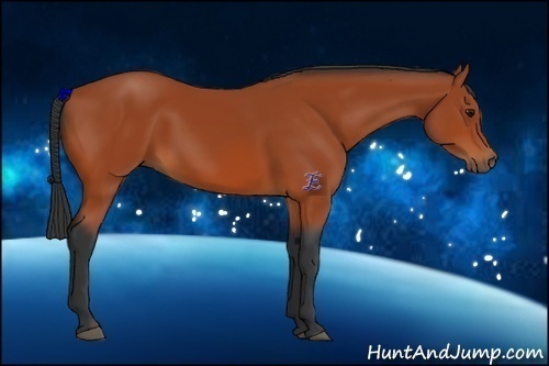 Horse Color:Bay Rabicano 