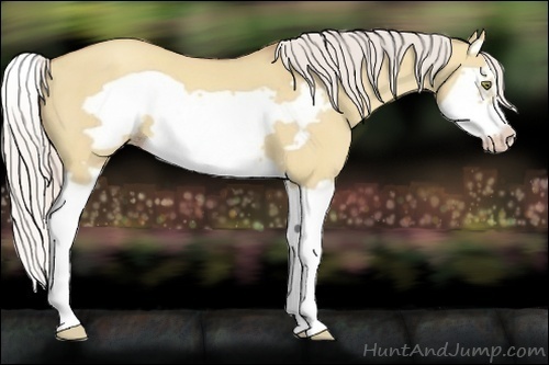 Horse Color:Silver Classic Champagne Dun Splash Frame
