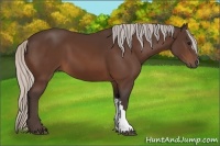 Horse Color:Silver Bay 