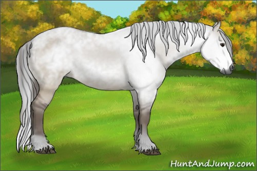 Horse Color:Gray Bay Dun Sabino