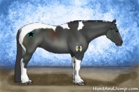 Horse Color:Black Tobiano 