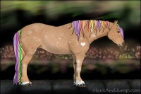 Horse Color:Painted Chestnut 