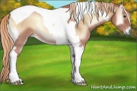 Horse Color:Red Onyx Roan Tobiano 
