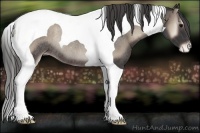 Horse Color:Blue Onyx Tobiano Appaloosa Rabicano 
