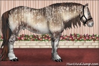 Horse Color:Sable Cream Champagne Pearl Onyx and Brown Onyx