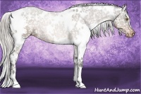 Horse Color:White Spotted Silver Brown Snowflake Varnish