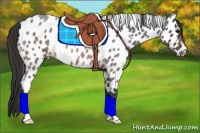 Horse Color:Brown Roan Near Leopard Rabicano