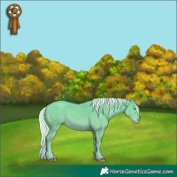 Horse Color:Silver Perlino Dun 