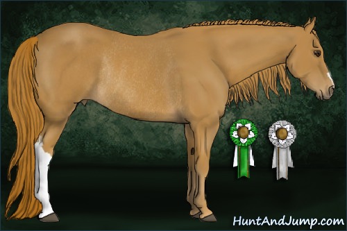 Horse Color:Chestnut Rabicano 
