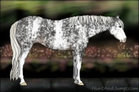 Horse Color:White Spotted Liver Chestnut Mushroom Varnish