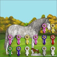 Horse Color:White Spotted Chocolate Palomino Mushroom Snowflake Varnish