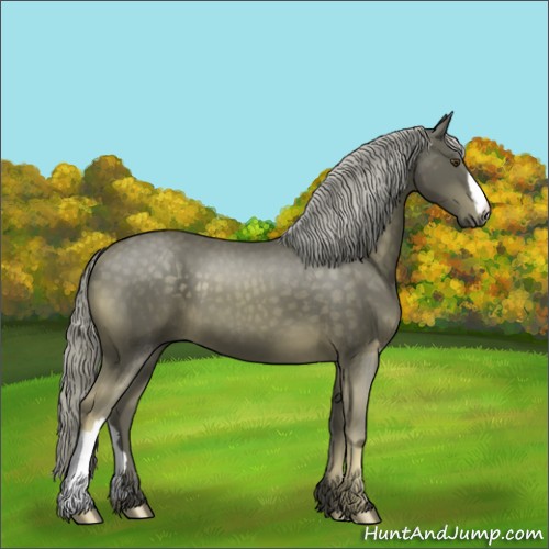 Horse Color:Chocolate Palomino 