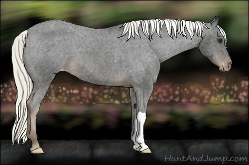 Horse Color:Liver Chestnut Mushroom Varnish 