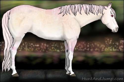 Horse Color:Watercolor White Spotted Silver Brown Chinchilla Ice Onyx Sabino