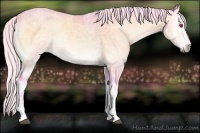 Horse Color:Watercolor White Spotted Silver Brown Chinchilla Ice Onyx Sabino 