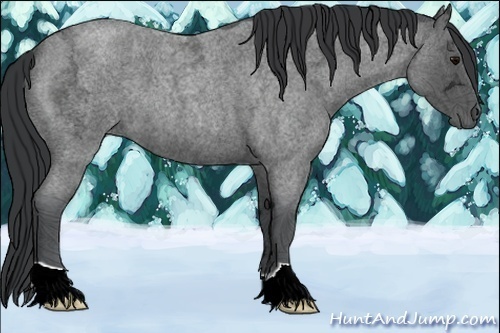 Horse Color:Blue Ice Roan 