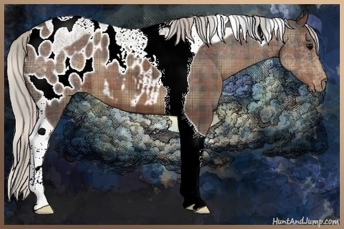 Horse Color:Plaid  Silver Black Tobiano Appaloosa 