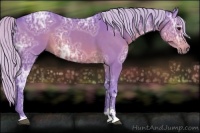 Horse Color:Watercolor Silver Brown Ice Sabino 