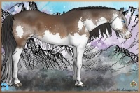 Horse Color:Bay Splash 