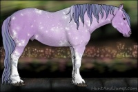 Horse Color:Painted Watercolor White Spotted Black Tobiano