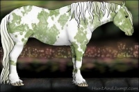 Horse Color:Watercolor White Spotted Silver Black Ice Varnish Rabicano 