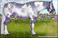 Horse Color:Watercolor White Spotted Silver Brown Onyx 
