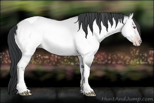 Horse Color:Sable Champagne Chinchilla Onyx Tobiano Brindle
