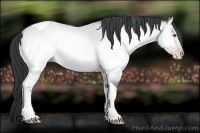 Horse Color:Sable Champagne Chinchilla Onyx Tobiano Brindle 