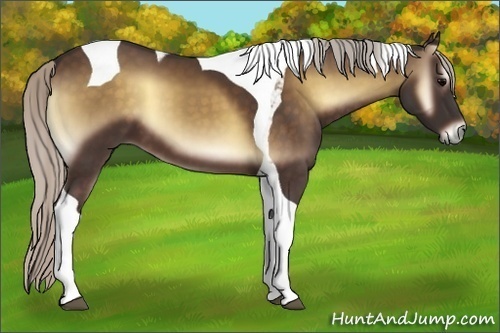 Horse Color:Silver Brown Onyx Tobiano 
