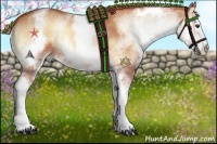 Horse Color:White Spotted Red Onyx Splash