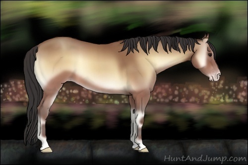 Horse Color:Sable Champagne Onyx
