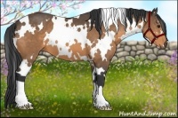 Horse Color:White Spotted Buckskin