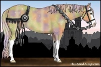 Horse Color:Nacre Palomino Splash