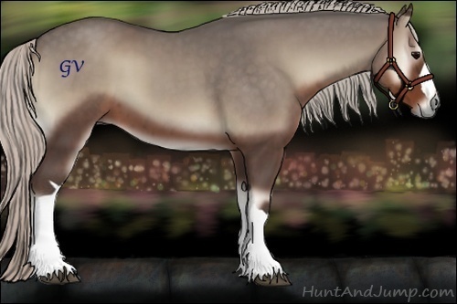 Horse Color:Silver Blue Onyx 