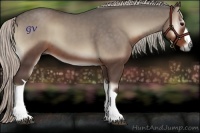 Horse Color:Silver Blue Onyx 