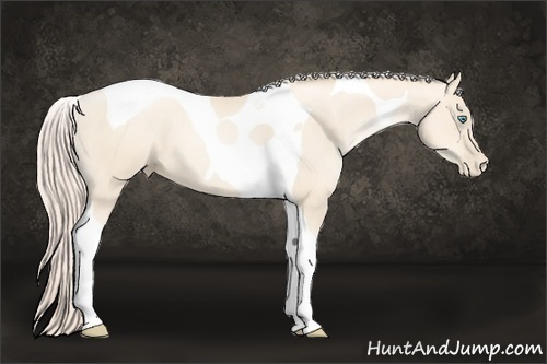 Horse Color:Gold Cream Champagne Pearl Tobiano 