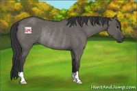 Horse Color:Grullo Rabicano 