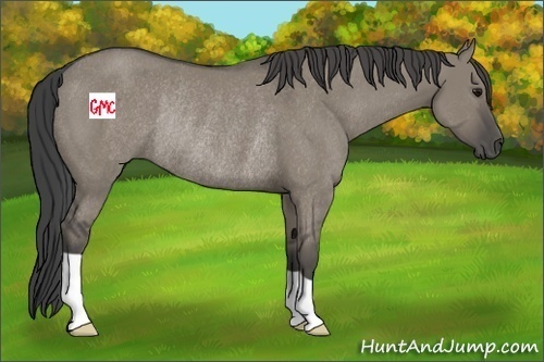 Horse Color:Smoky Grullo Rabicano 