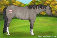 Horse Color:Smoky Grullo Rabicano 