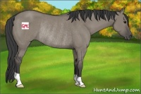 Horse Color:Smoky Grullo Rabicano 