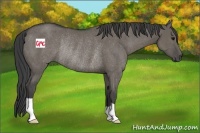 Horse Color:Smoky Grullo Rabicano 