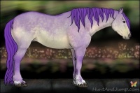 Horse Color:Watercolor Brown Dun Sabino