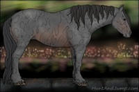 Horse Color:Brown Ice 